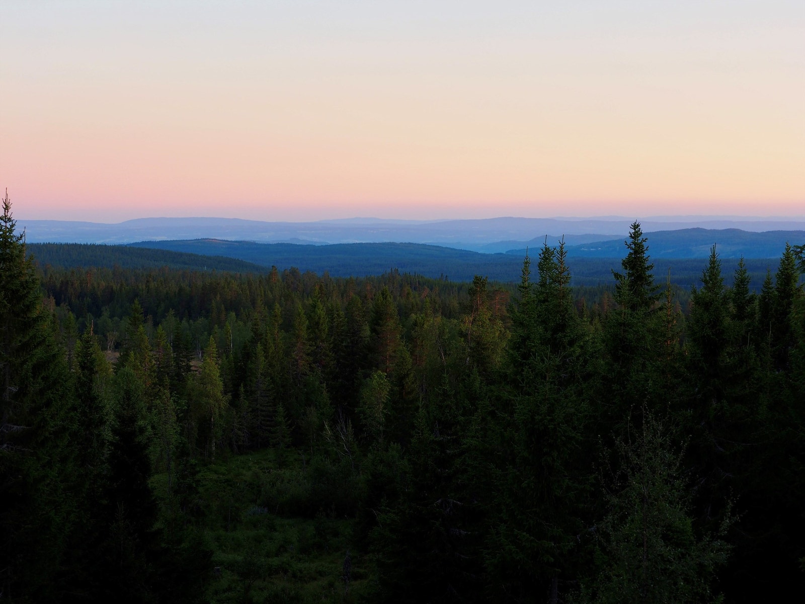 Privat bilde Galleribilde