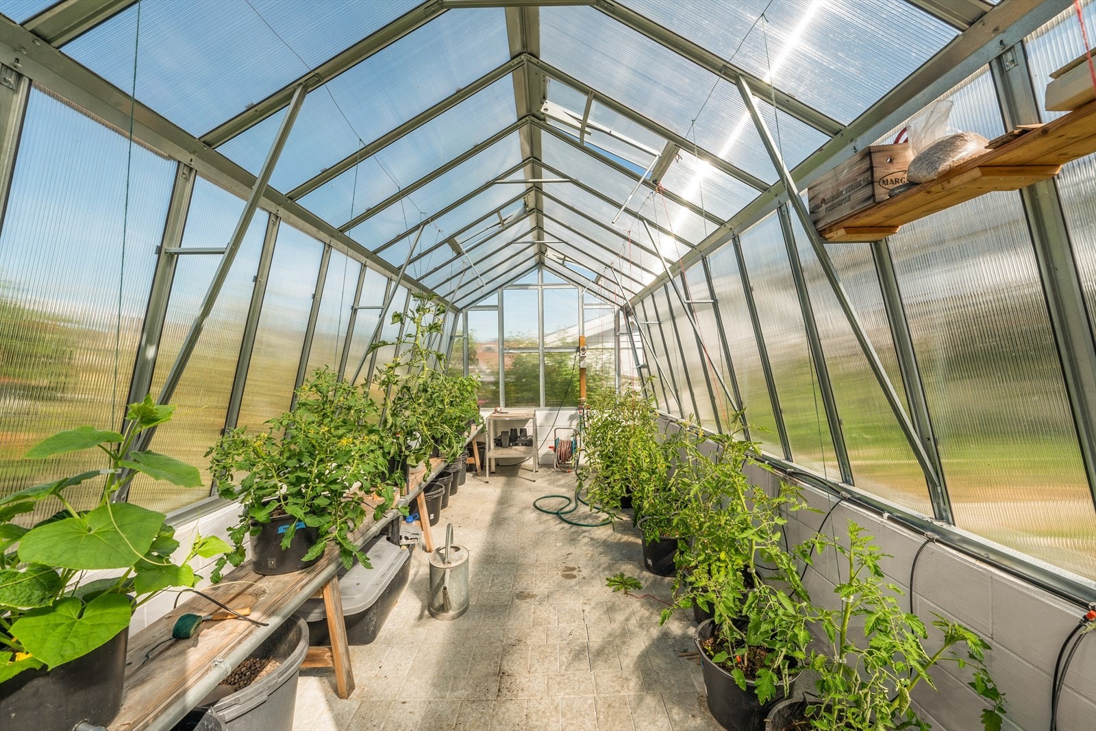 Drivhuset er ideelt for dyrking av planter og grønnsaker. Galleribilde