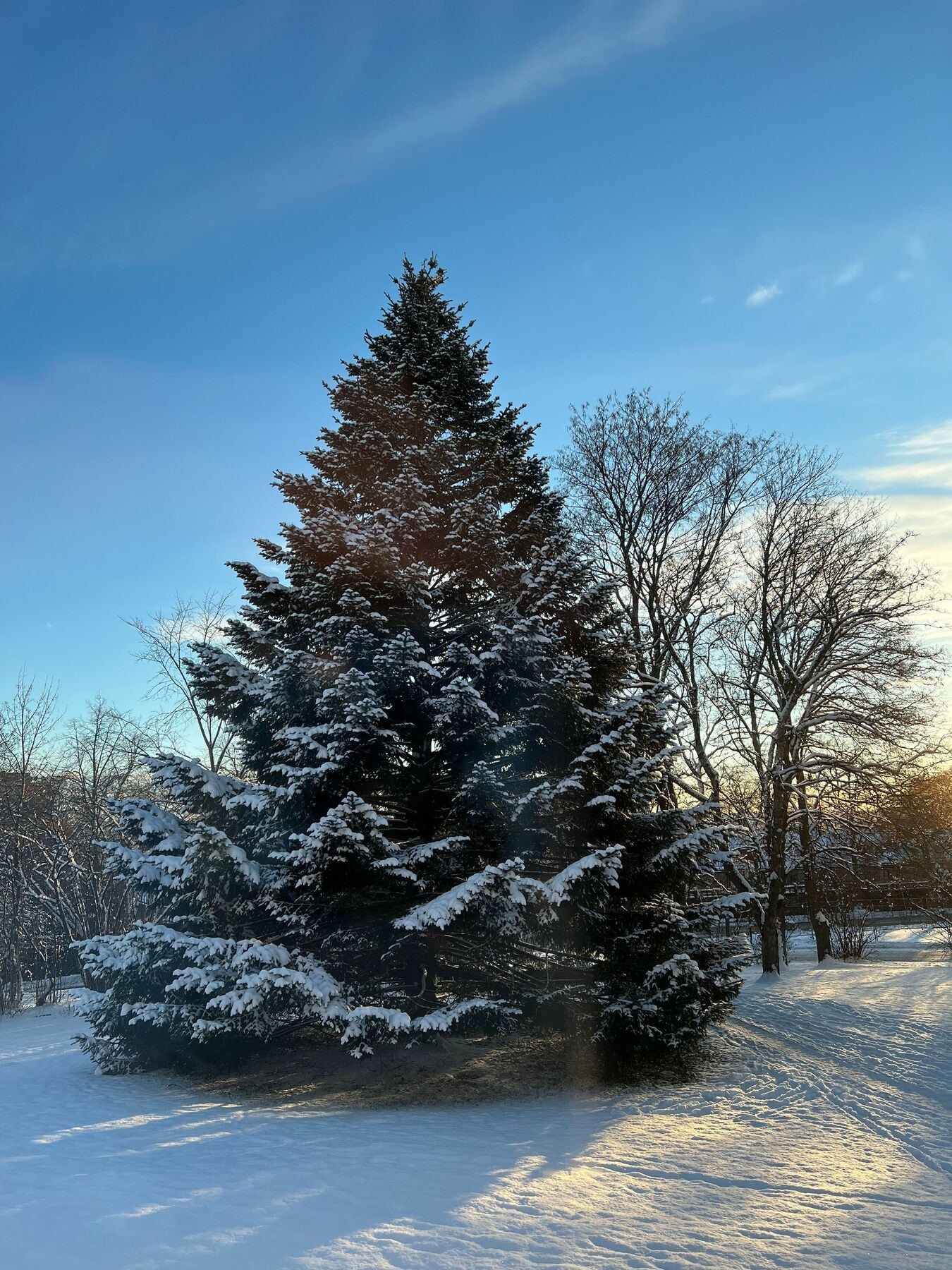 Borettslaget tenner julegranen første søndag i advent - med besøk av Hasle musikkorps! På vinteren har nabolaget også ofte besøk av rådyr. Galleribilde