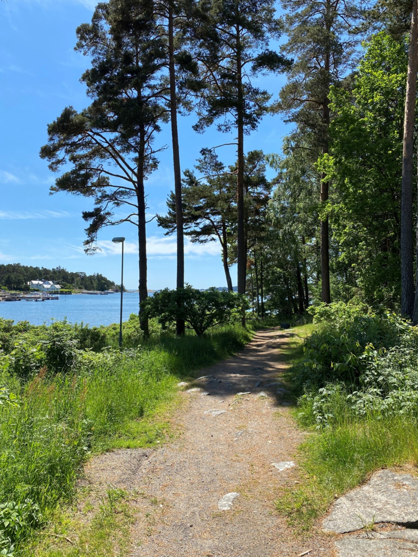 På Korsvik har man strender og fine fiske-og bademuligheter fra brygge Galleribilde