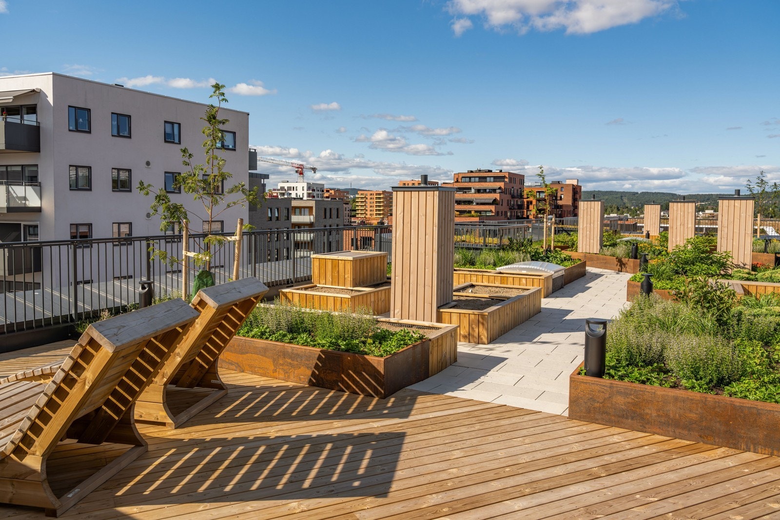 Felles takterrasse Galleribilde