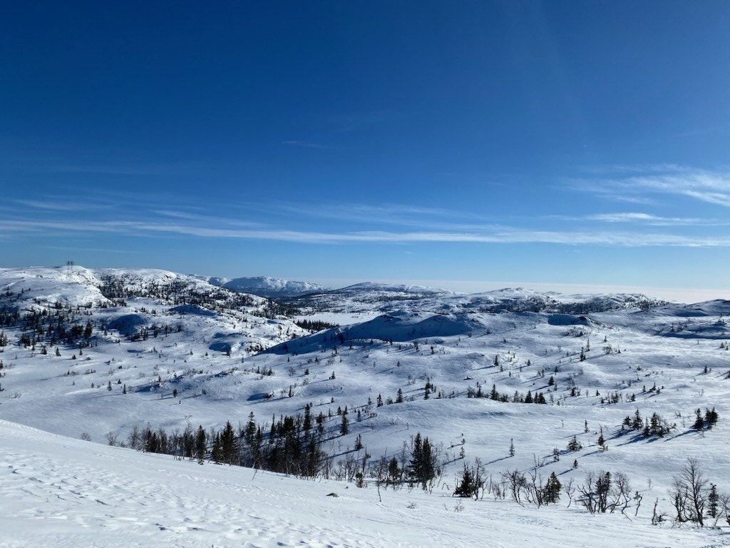 Privat foto Galleribilde