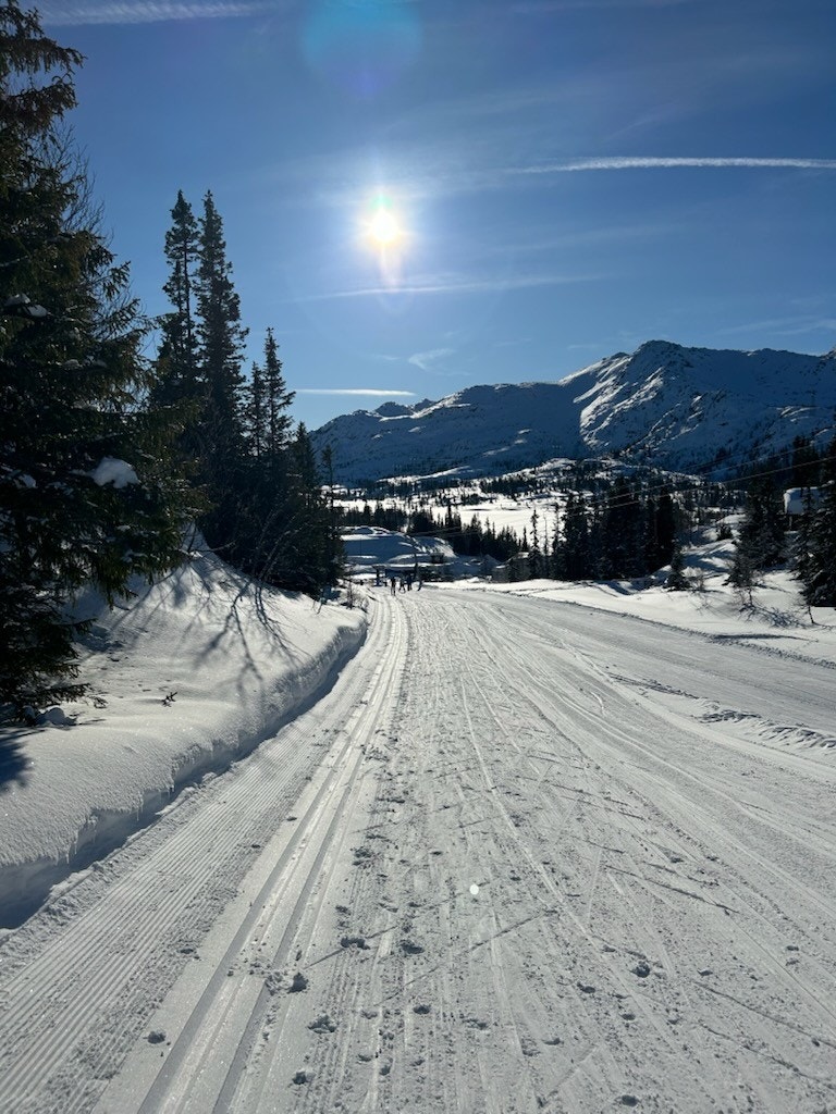 Privat foto Galleribilde