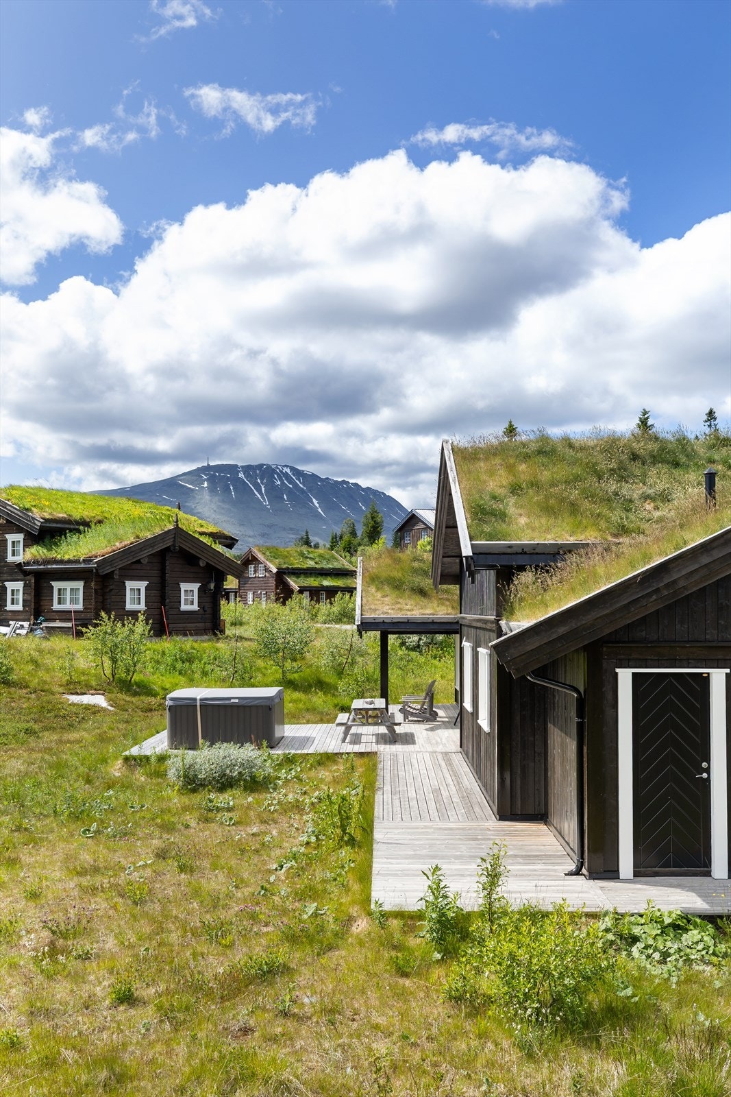 Stort uteområde med utsikt til Gaustatoppen Galleribilde