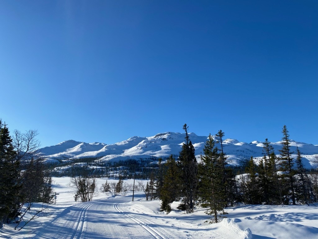 Privat foto Galleribilde