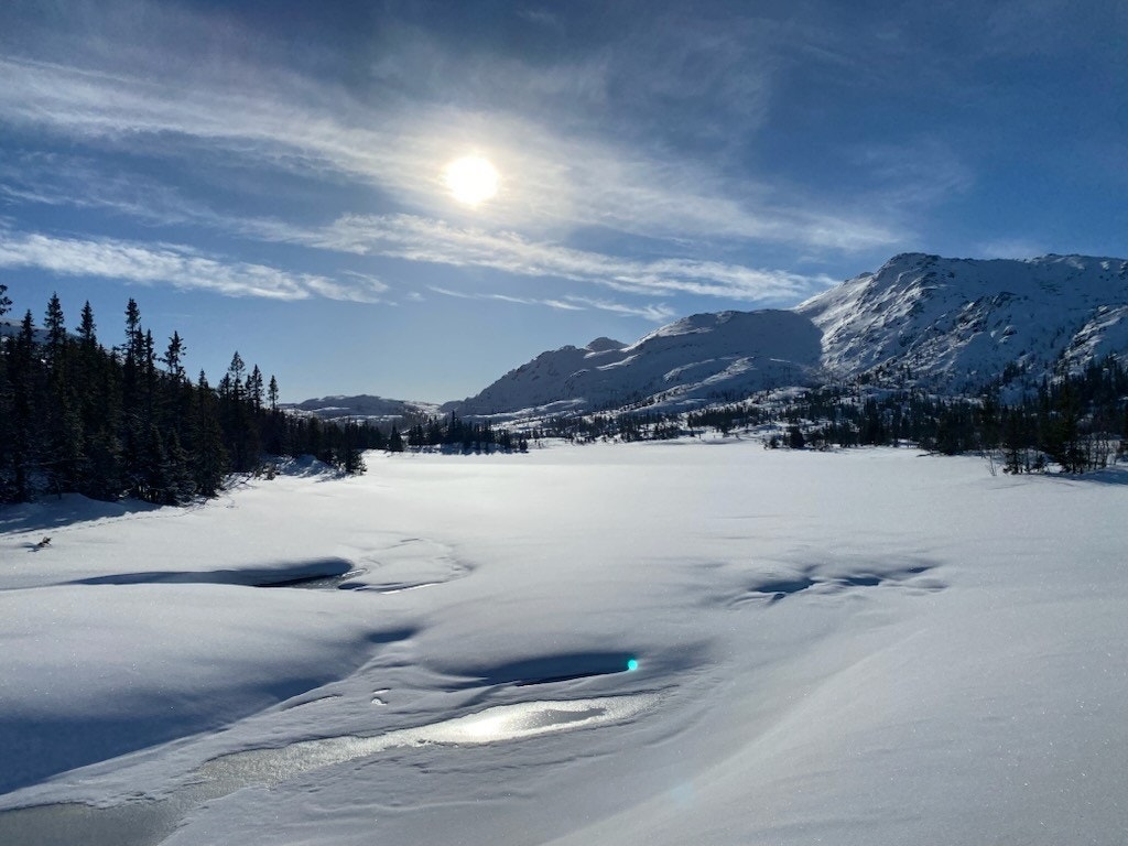 Privat foto Galleribilde