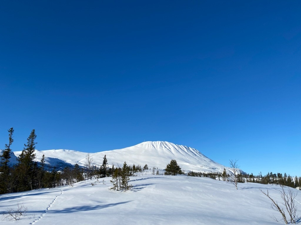 Privat foto Galleribilde