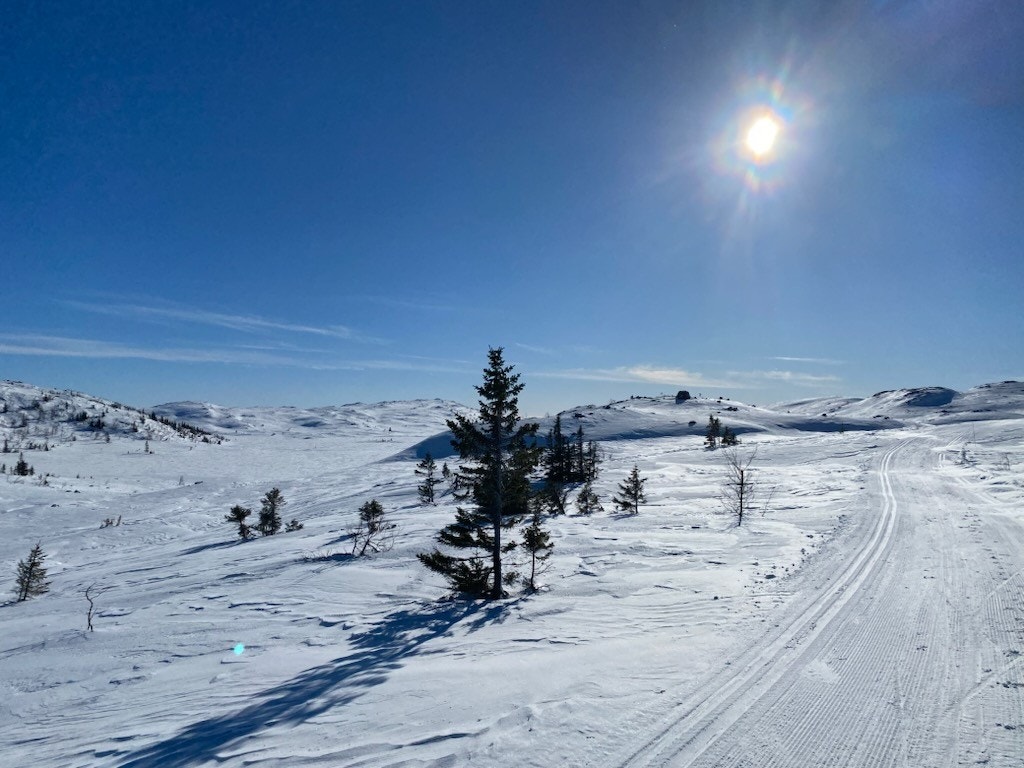 Privat foto Galleribilde