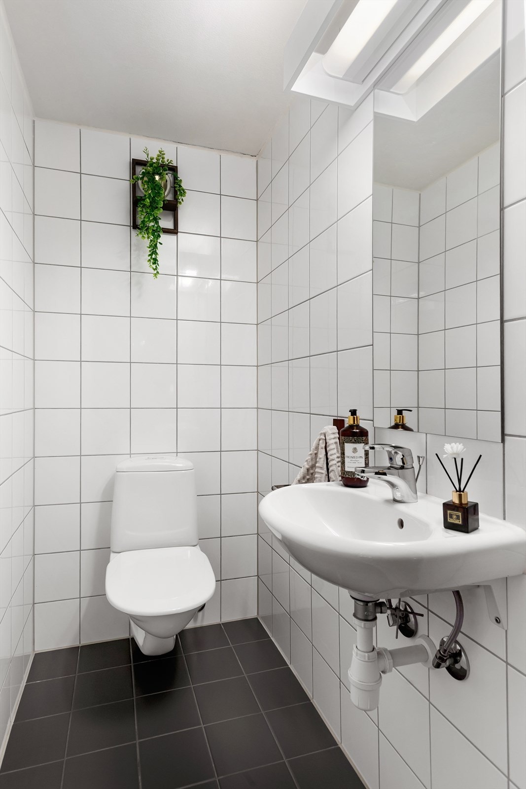 Gjestetoalett Galleribilde