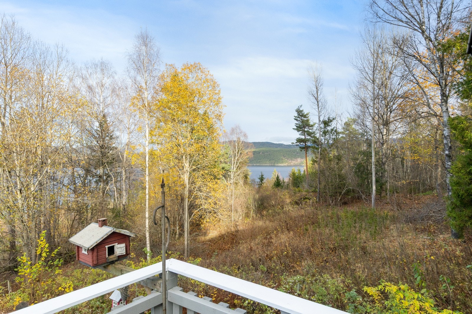 Fra uteområde Galleribilde