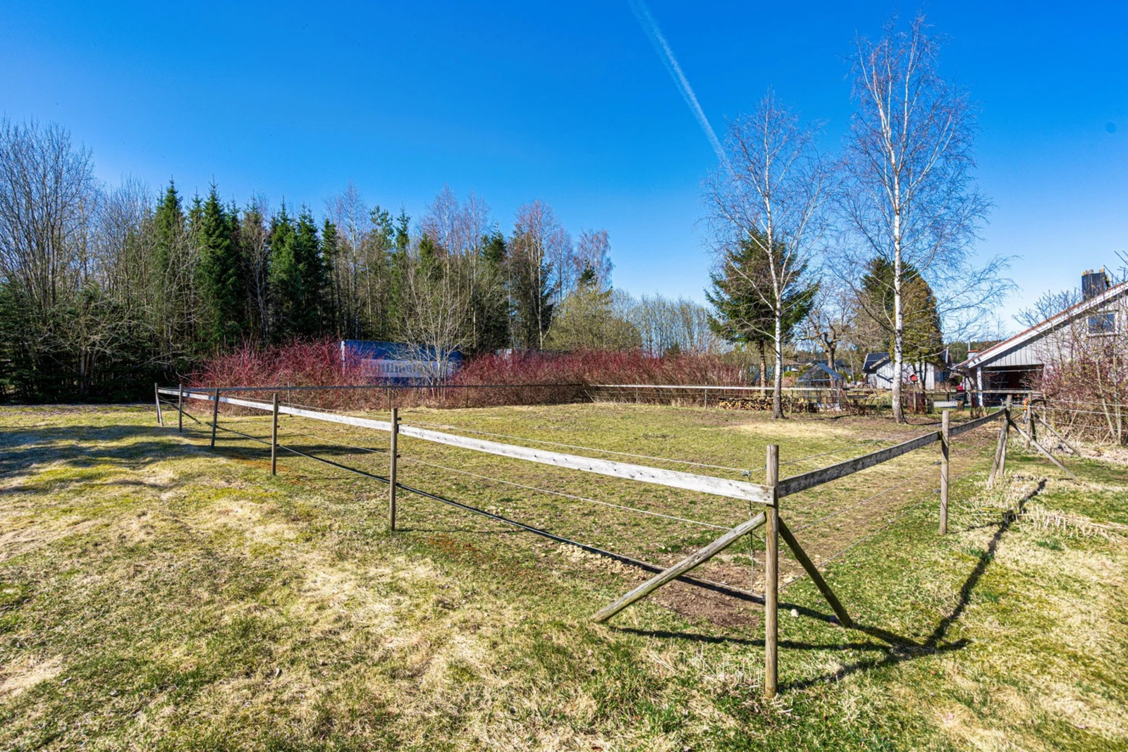 Paddock i tilknytning til stallen. Galleribilde