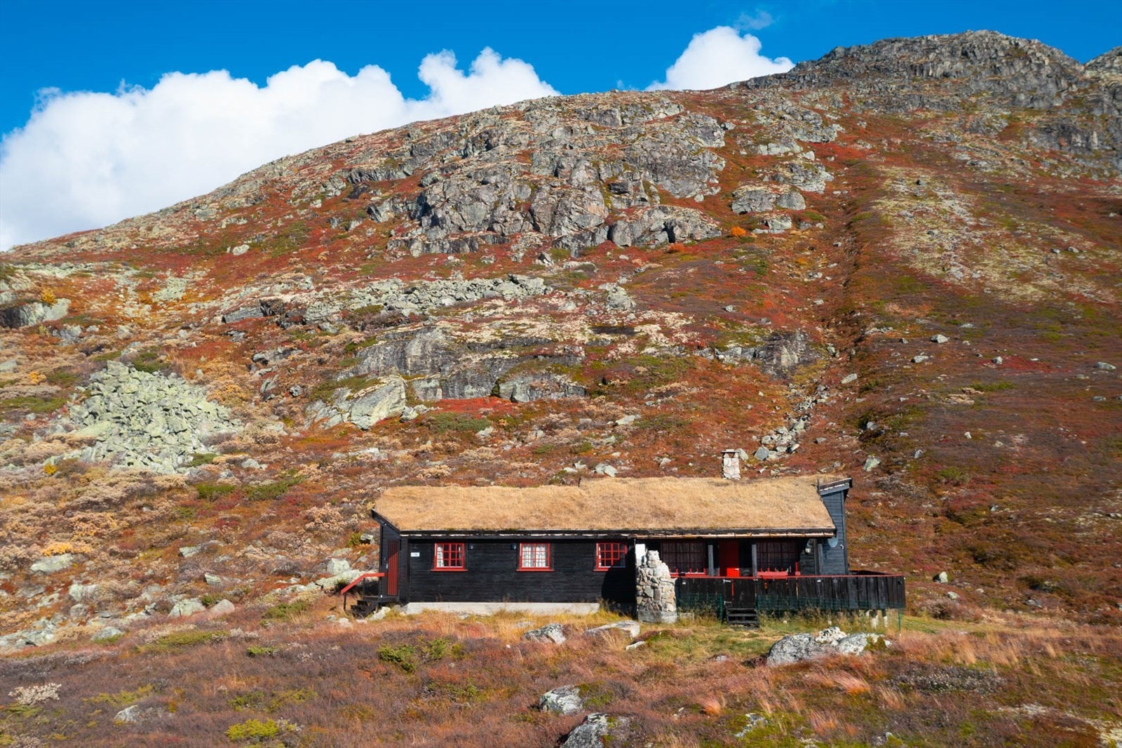 Hytta er beliggende i "ett med naturen". Galleribilde