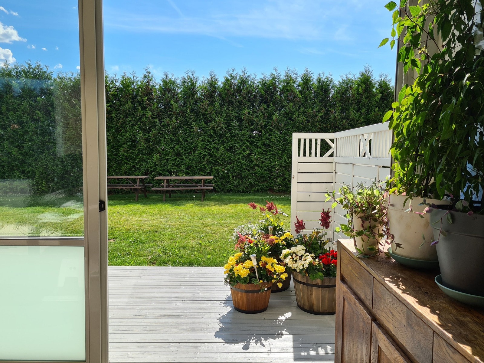 Utsikt til felles hage Galleribilde