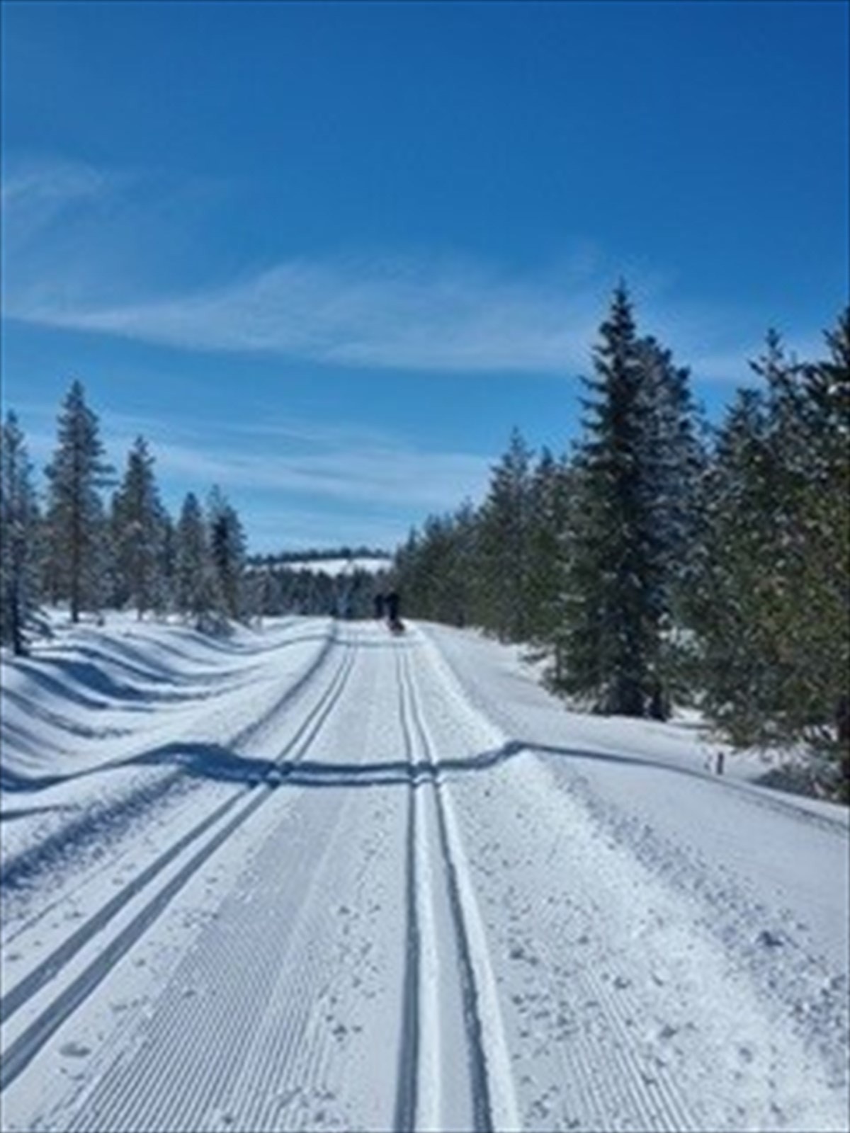 Skiløyper i området Galleribilde