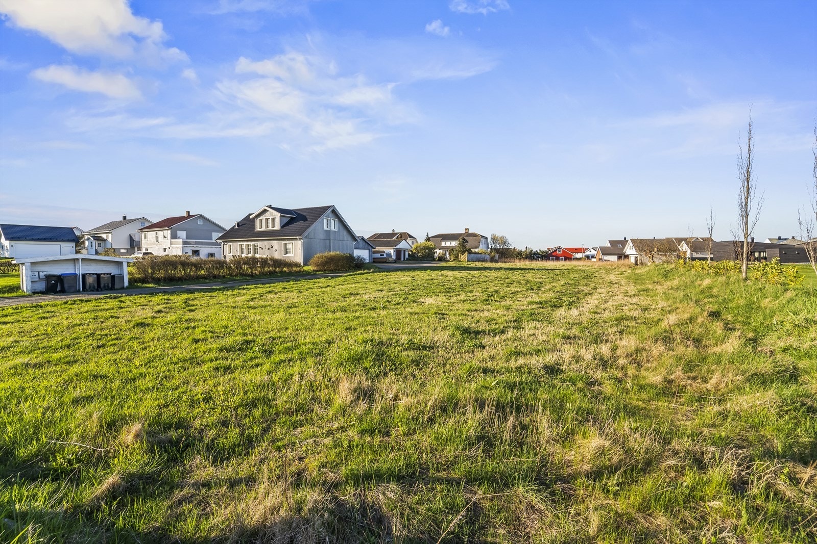 DSC08787 Galleribilde