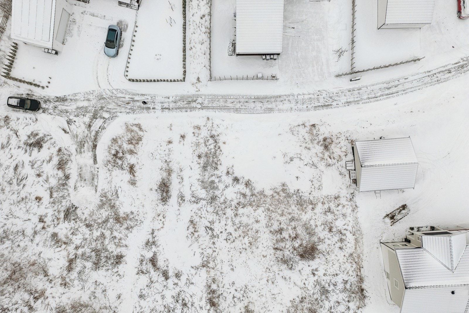 Dronebilde over tomten. Galleribilde