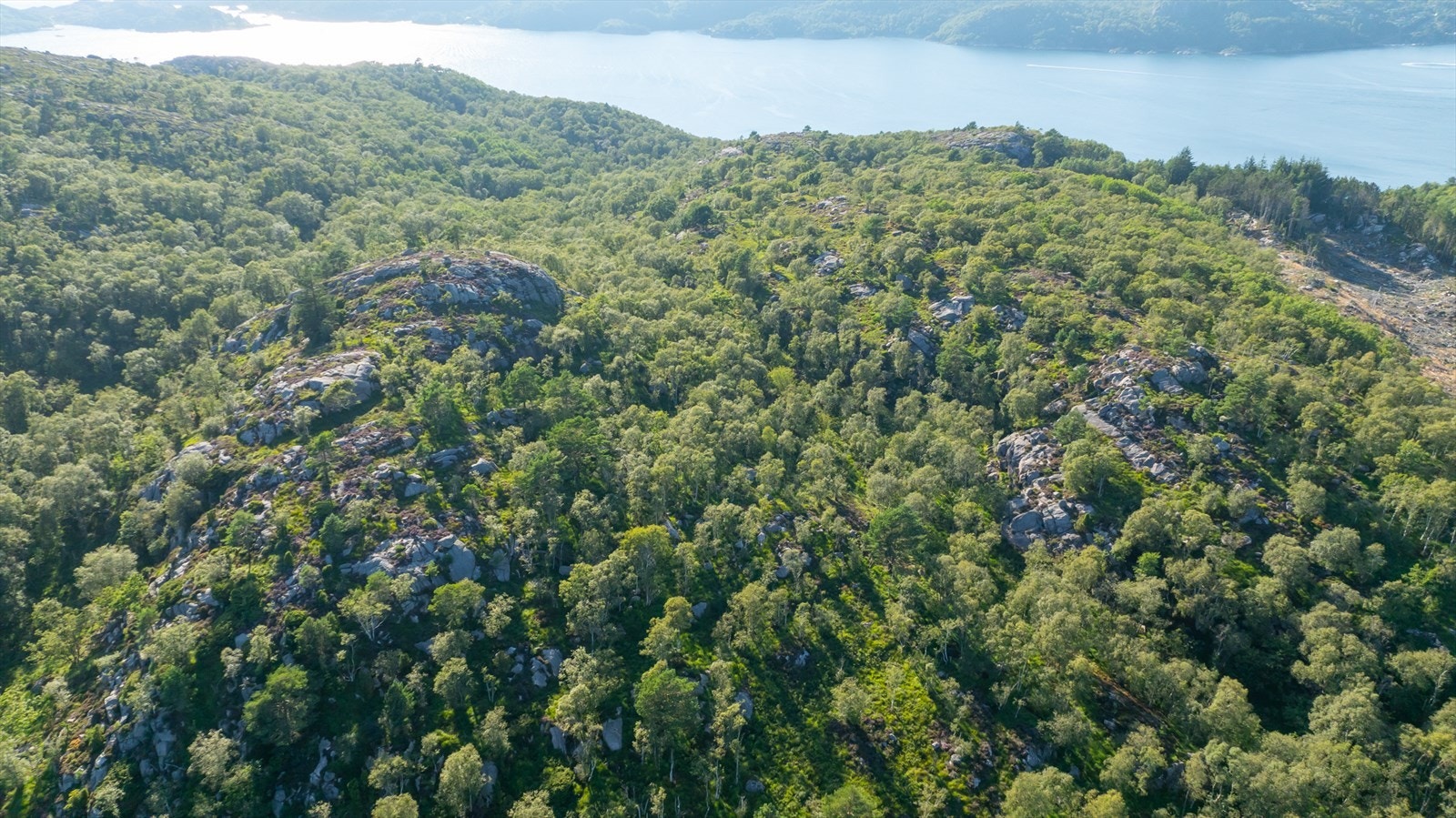 Haraldstad 29 - oversikt Galleribilde