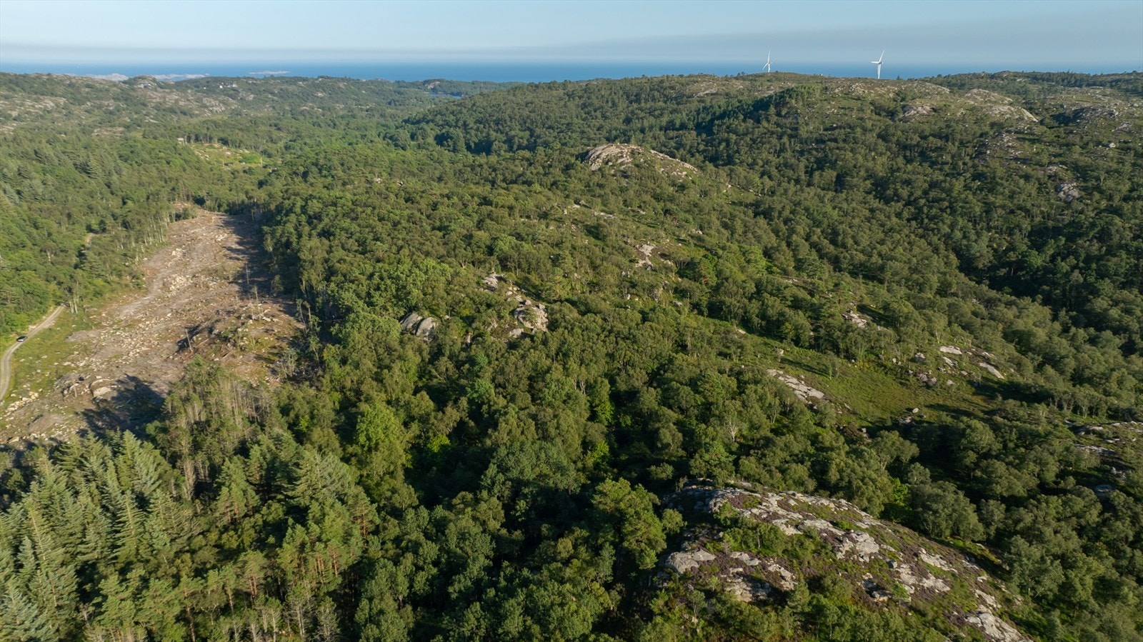 Haraldstad 29 - oversikt Galleribilde