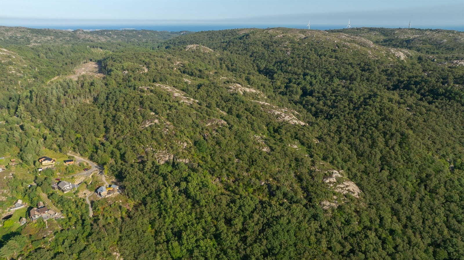 Haraldstad 29 - grenser ned mot eksisterende hyttefelt Galleribilde