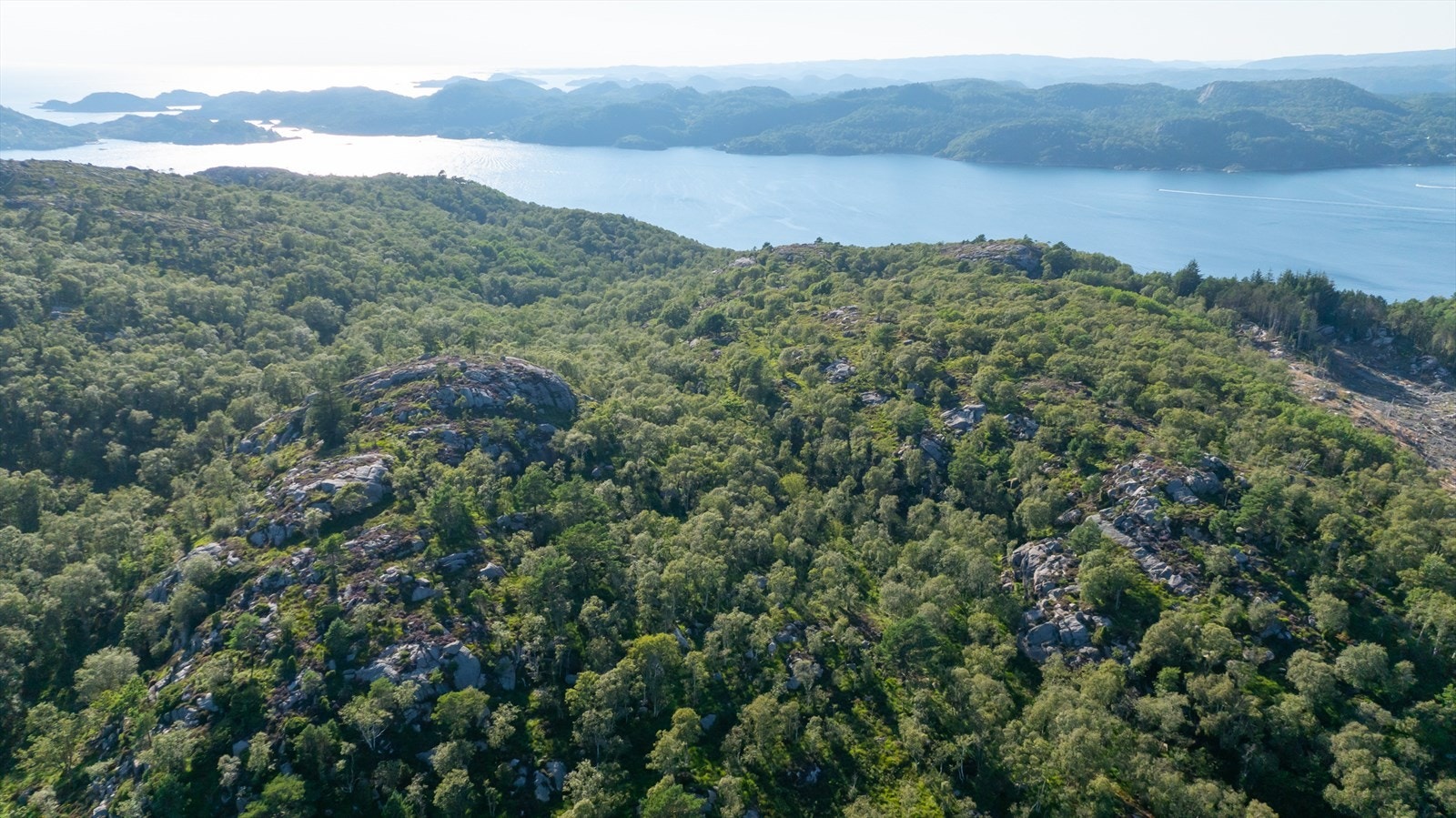 Haraldstad 29 - oversikt Galleribilde