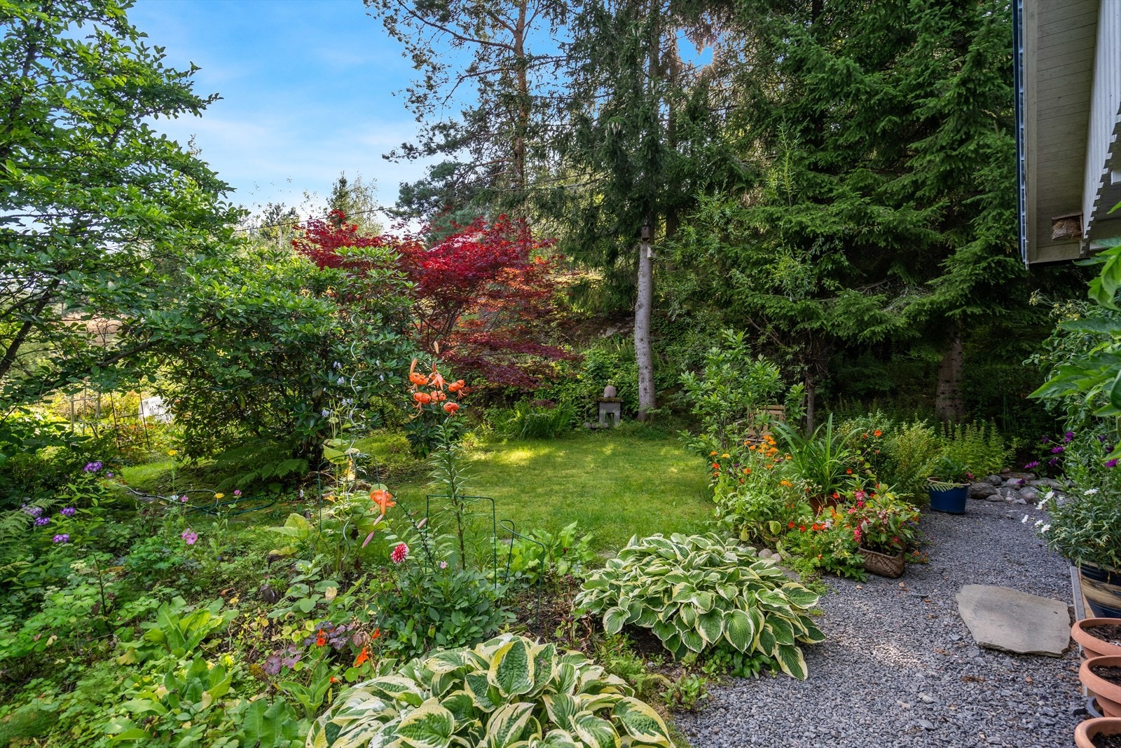 Her er det en frodig hage. Galleribilde