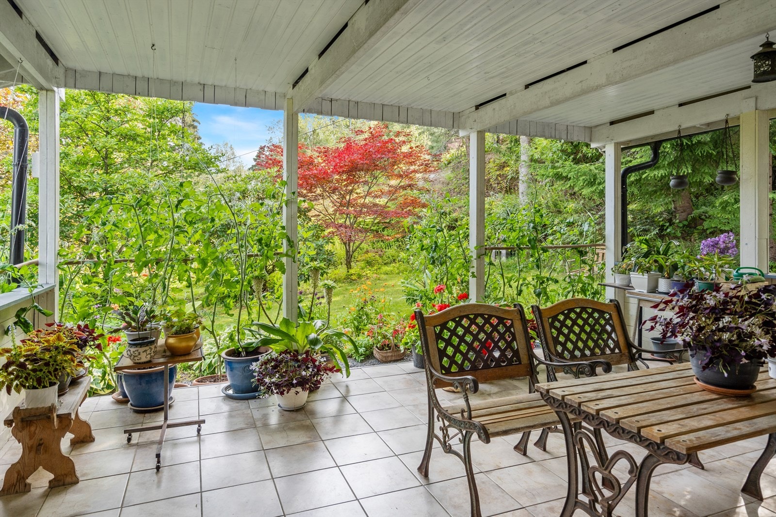 Fra den hyggelige terrassen. Galleribilde