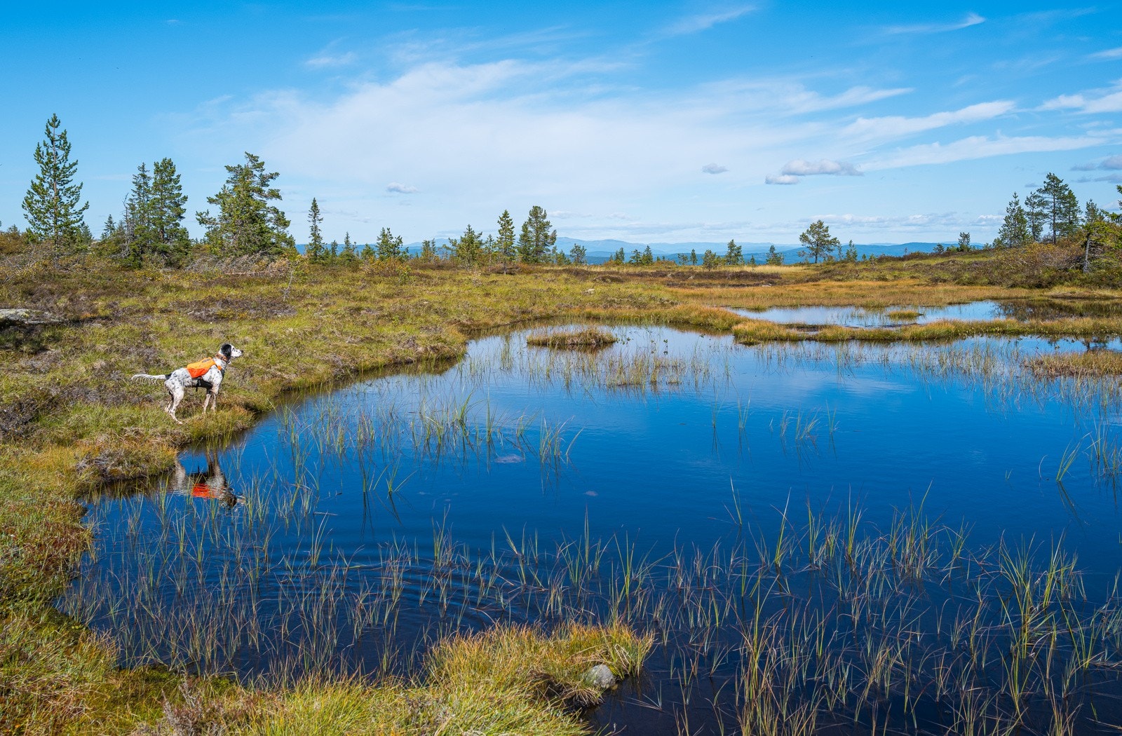 Så enten man liker fiske eller ski så har Blefjell noe for alle Galleribilde