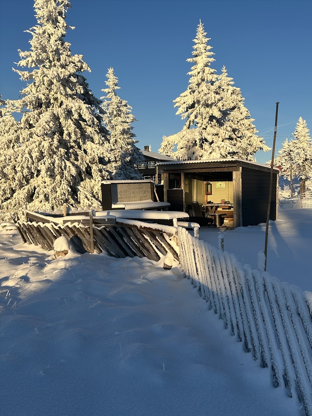 IMG_1265.jpeg Galleribilde