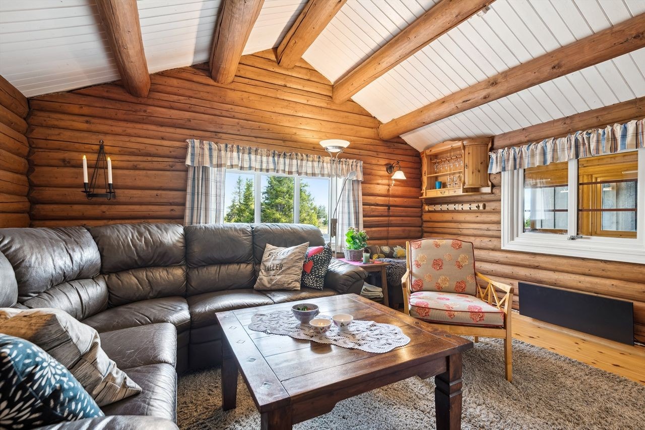 Stue med synlige tømmeråser og peisinnsats, perfekt for avslapping etter en dag i fjellet. Galleribilde