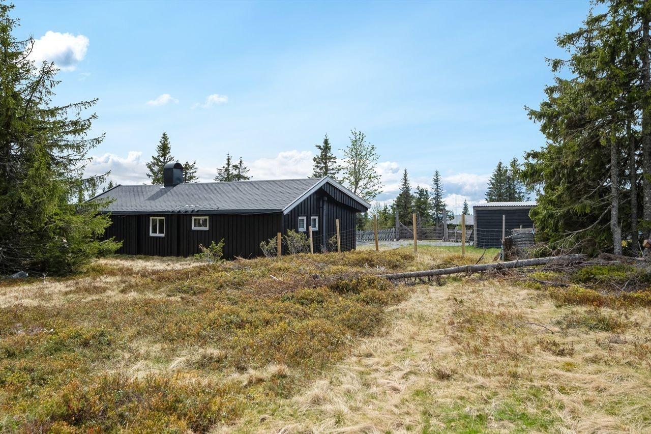 Hytta ligger fredelig til med skiløypa like ved på vinterstid. Galleribilde