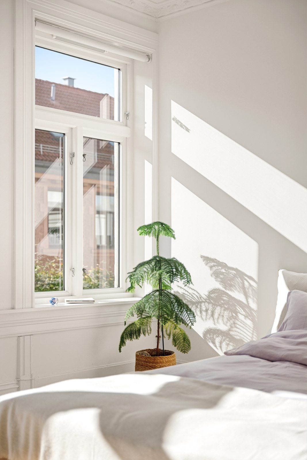 Malte trevinduer med 2-lags isolerglass, produsert i 2015. Galleribilde