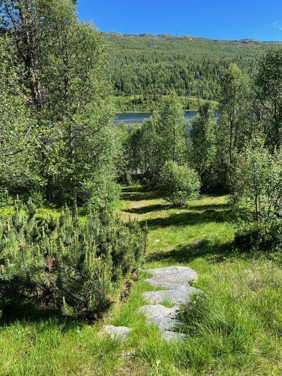 Foto privat Galleribilde