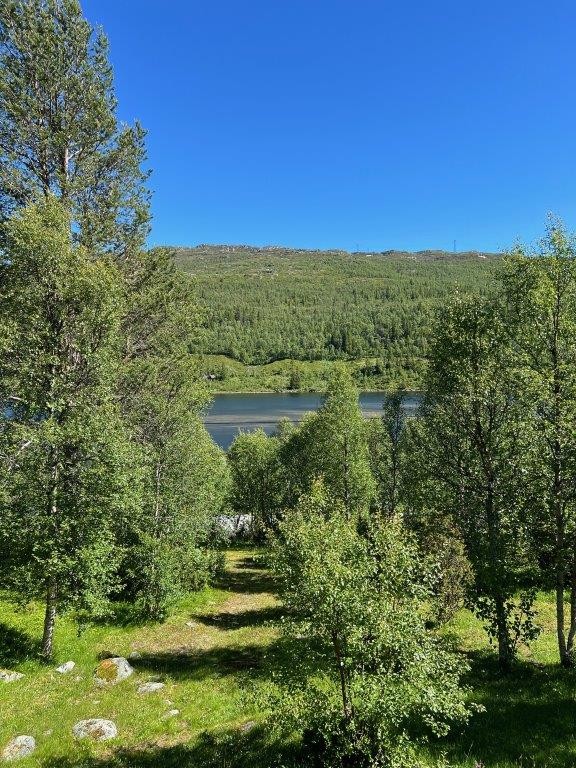 Foto privat Galleribilde