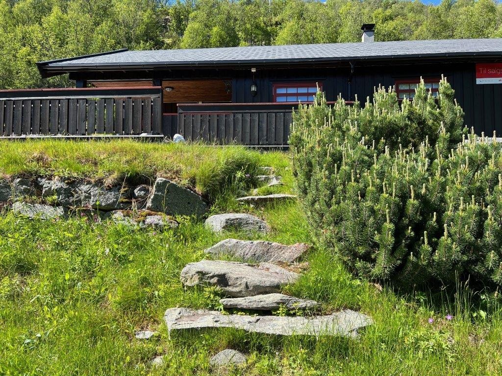 Foto privat Galleribilde