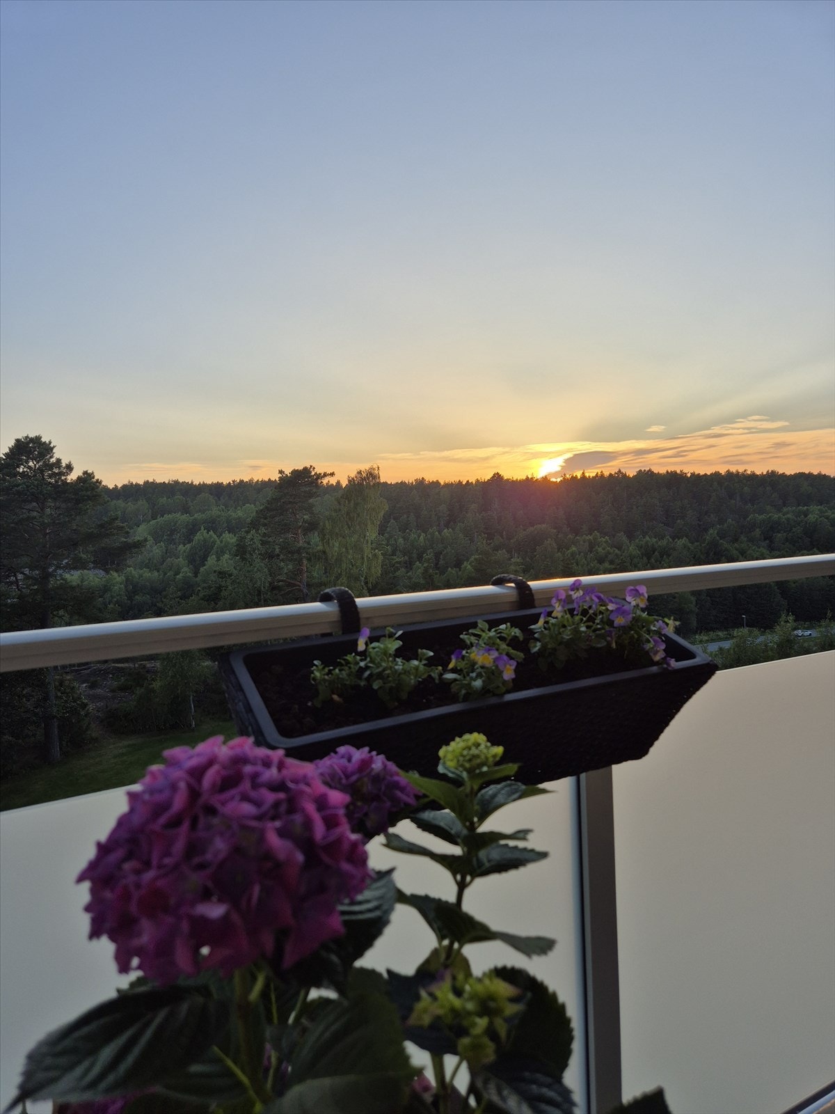 Kveldsbilde privat. Galleribilde