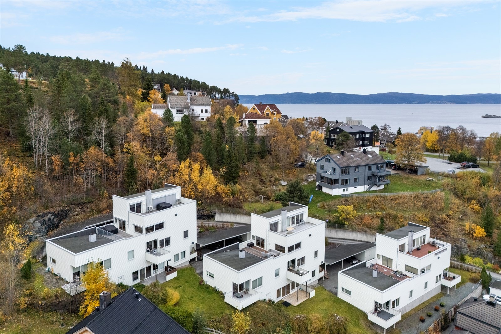 Velkommen til en trivelig visning! Galleribilde