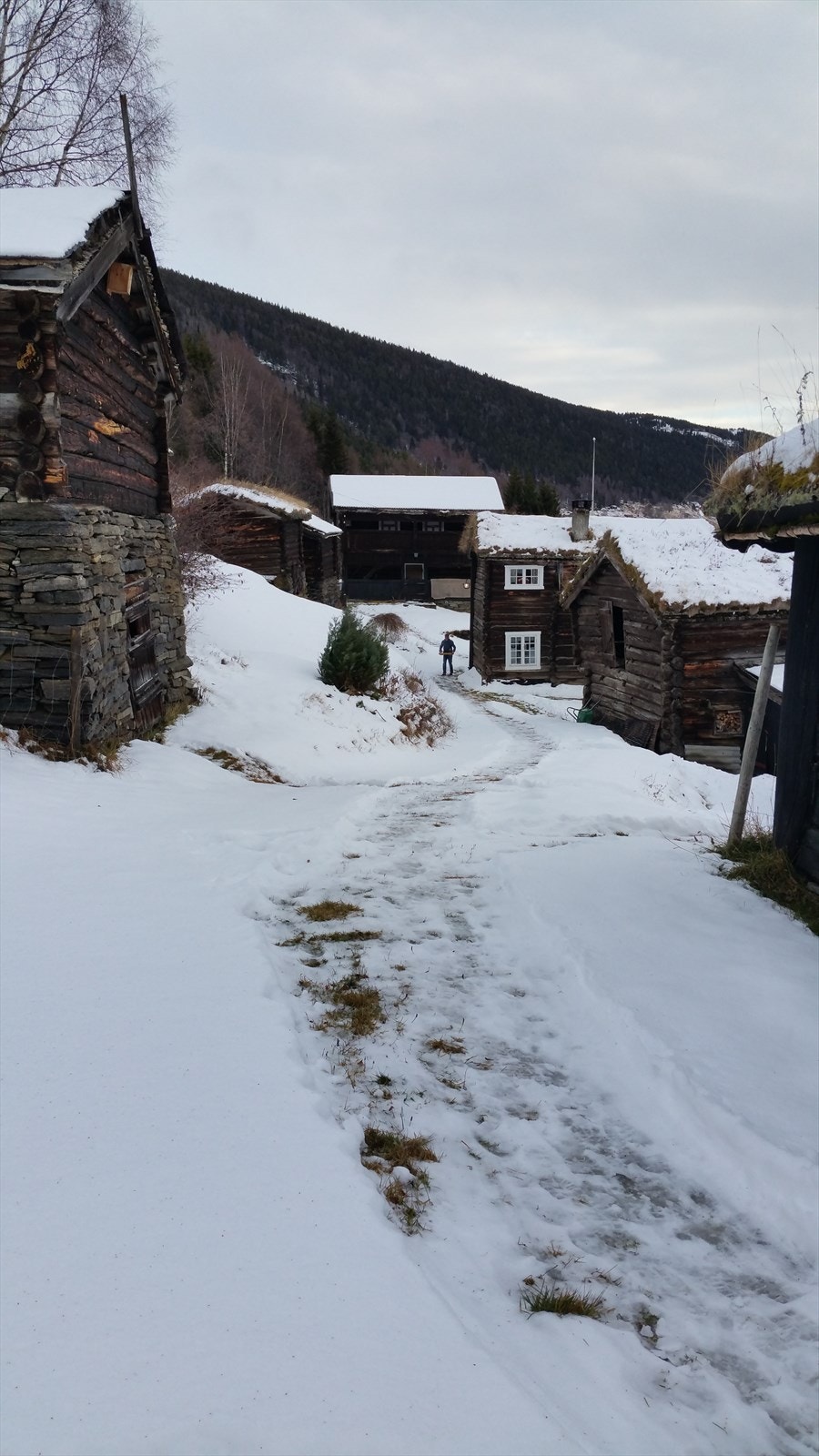 Gården ligger i naturlige avsatser "legaer" i terrenget i svært brattlendt terreng Galleribilde