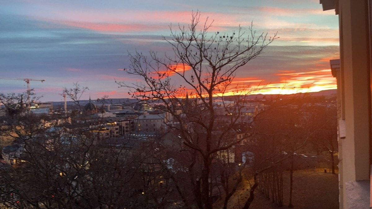 utsikt fra vinduet Galleribilde