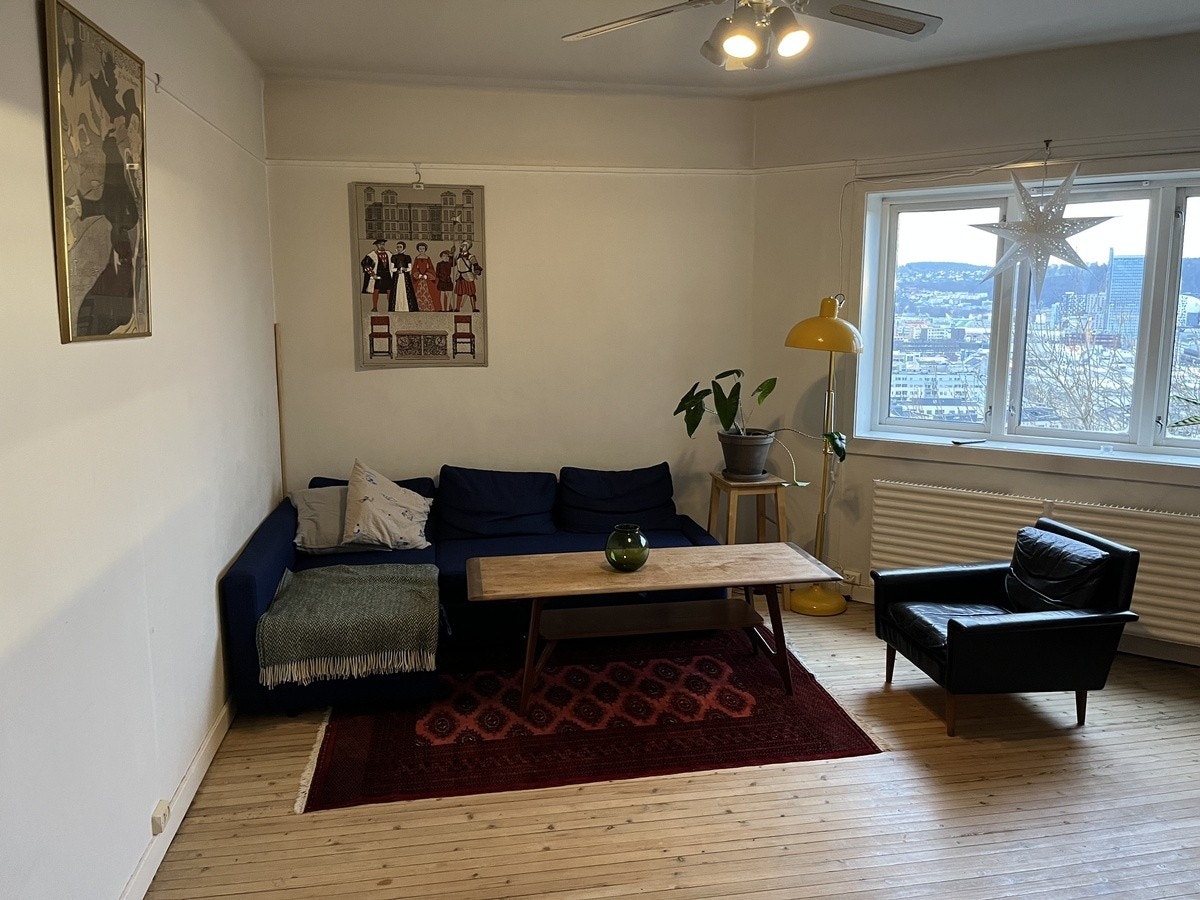 Sovesofa med lagringsplass Galleribilde