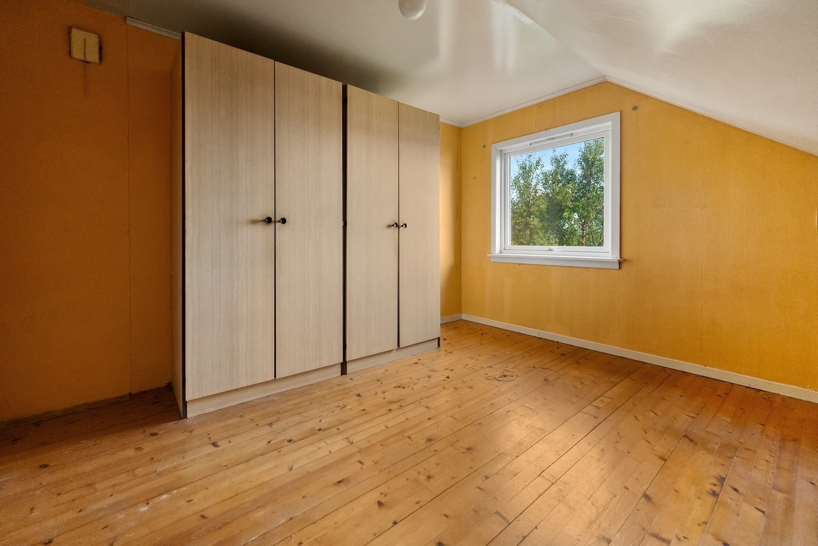 DSC00668a.jpg Galleribilde