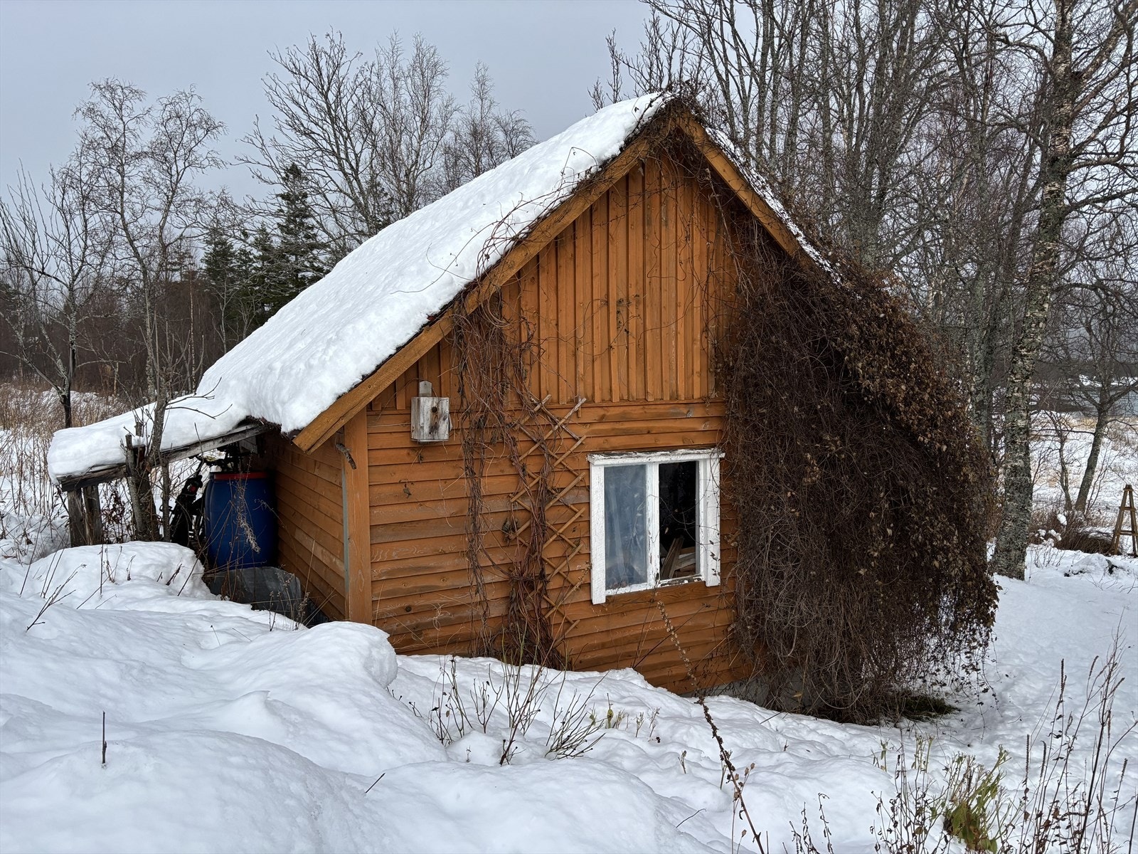 Del av uthuset Galleribilde