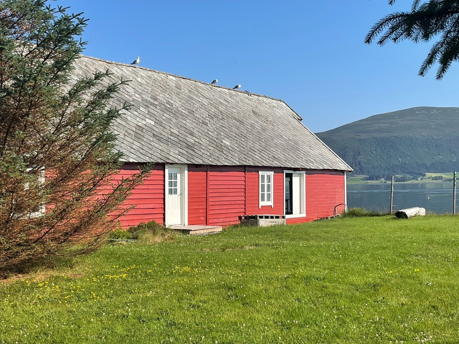 Sjøbod Galleribilde