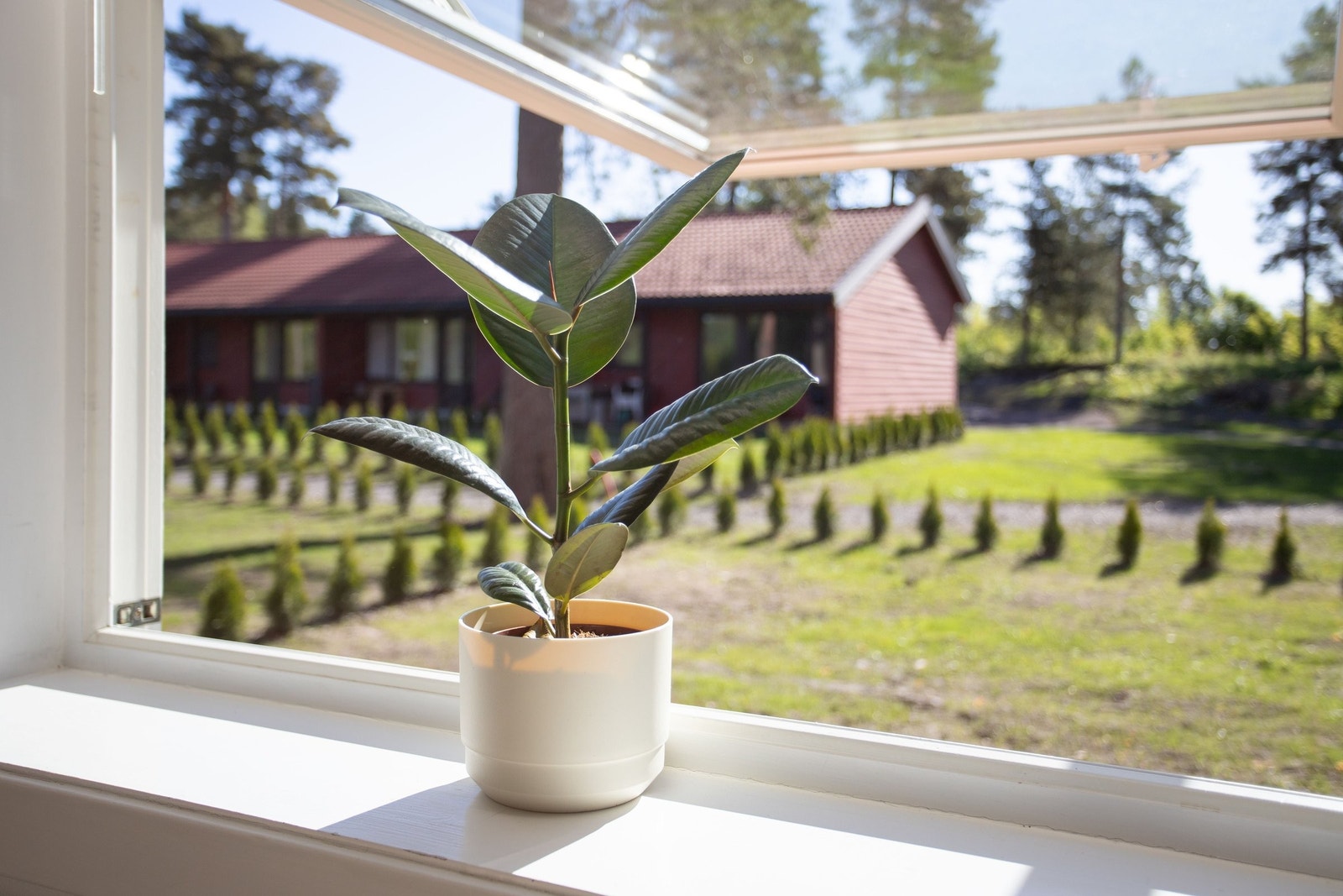 Utsikt til egen privat hage, mulighet for å sette inn balkongdør. Galleribilde