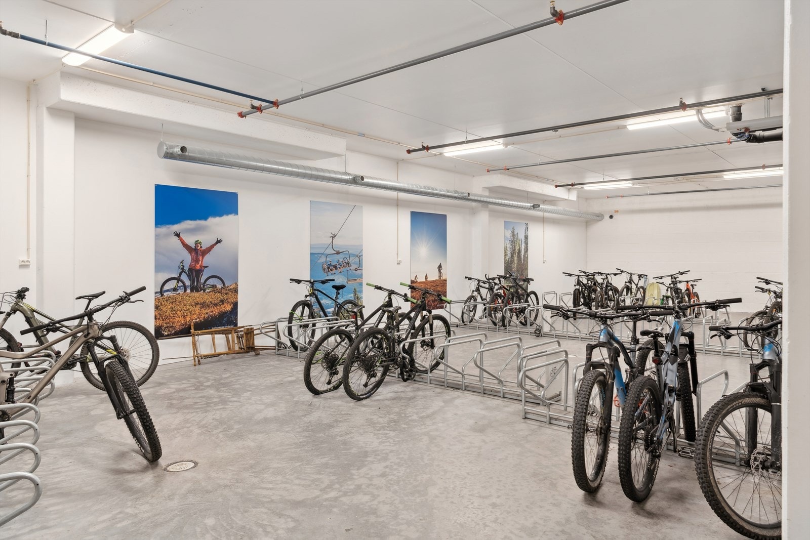 Om sommeren er det gode muligheter for stisykling, med trygg oppbevaring av sykler i felles bod. Galleribilde