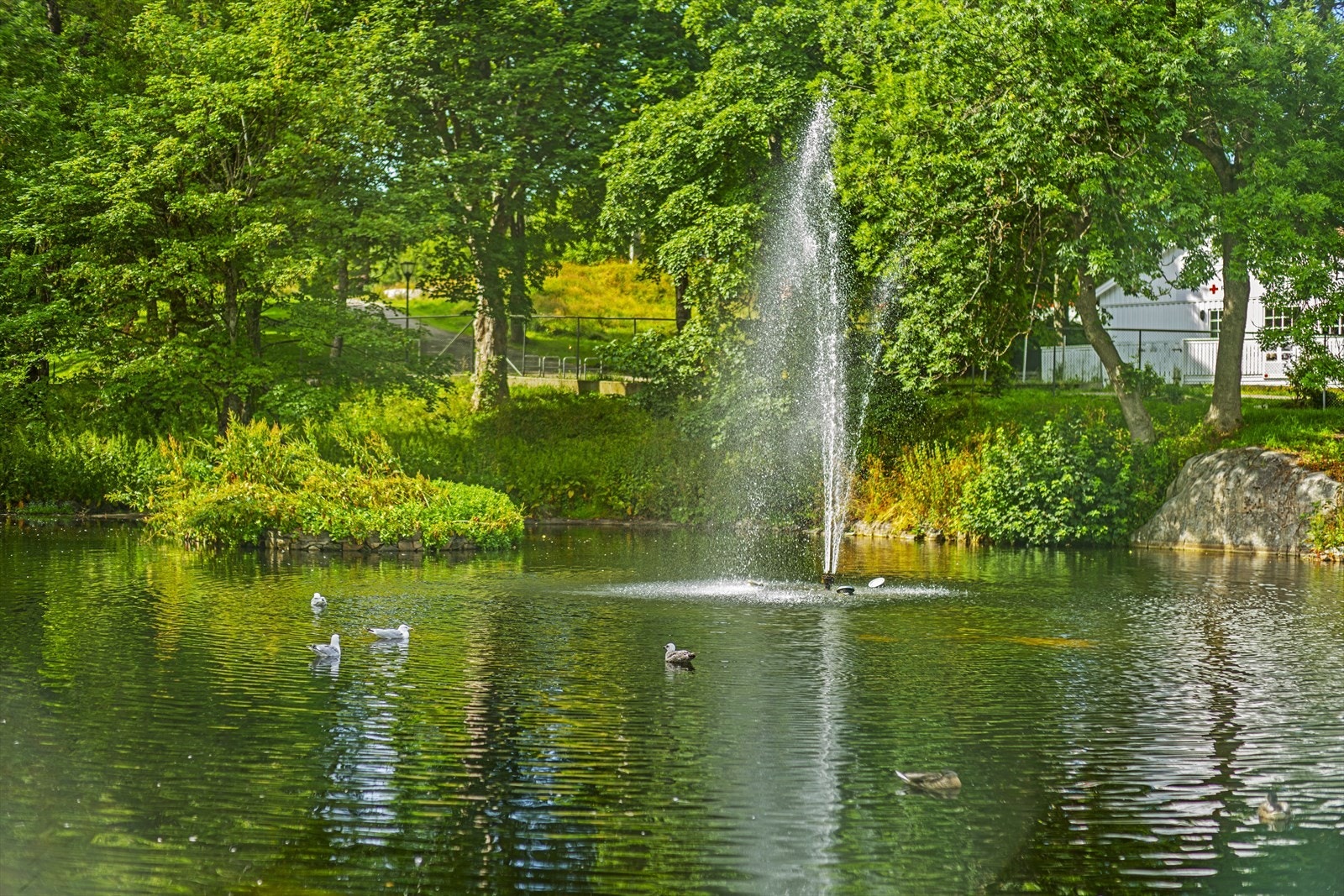 Nærområdet Galleribilde