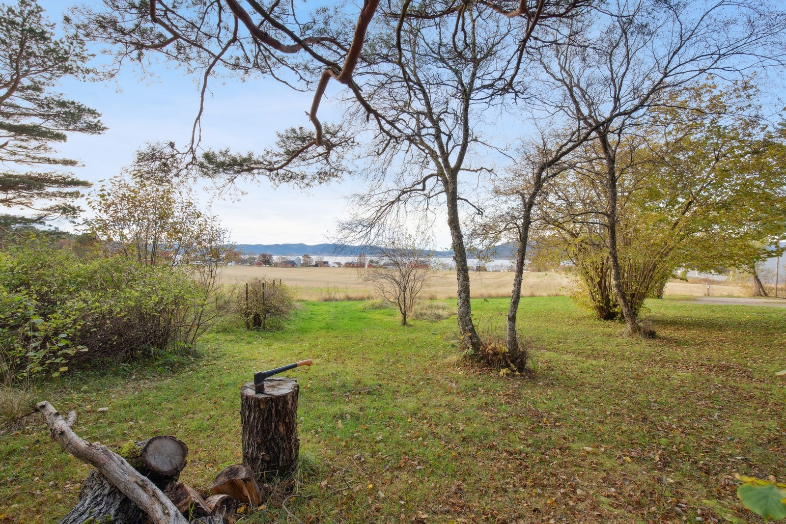 Velkommen til hyggelig visning! Galleribilde