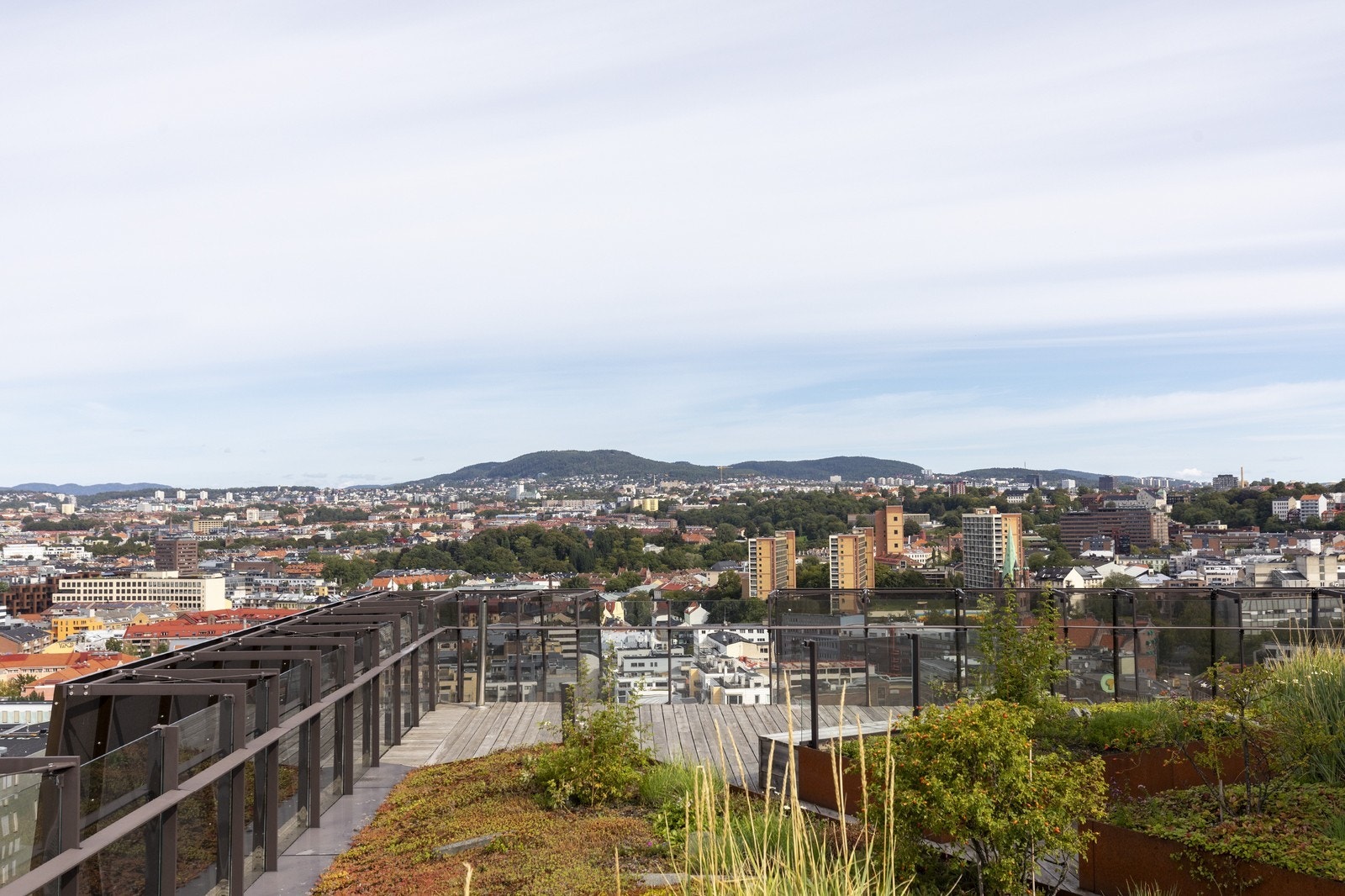 Fantastisk utsikt! Galleribilde