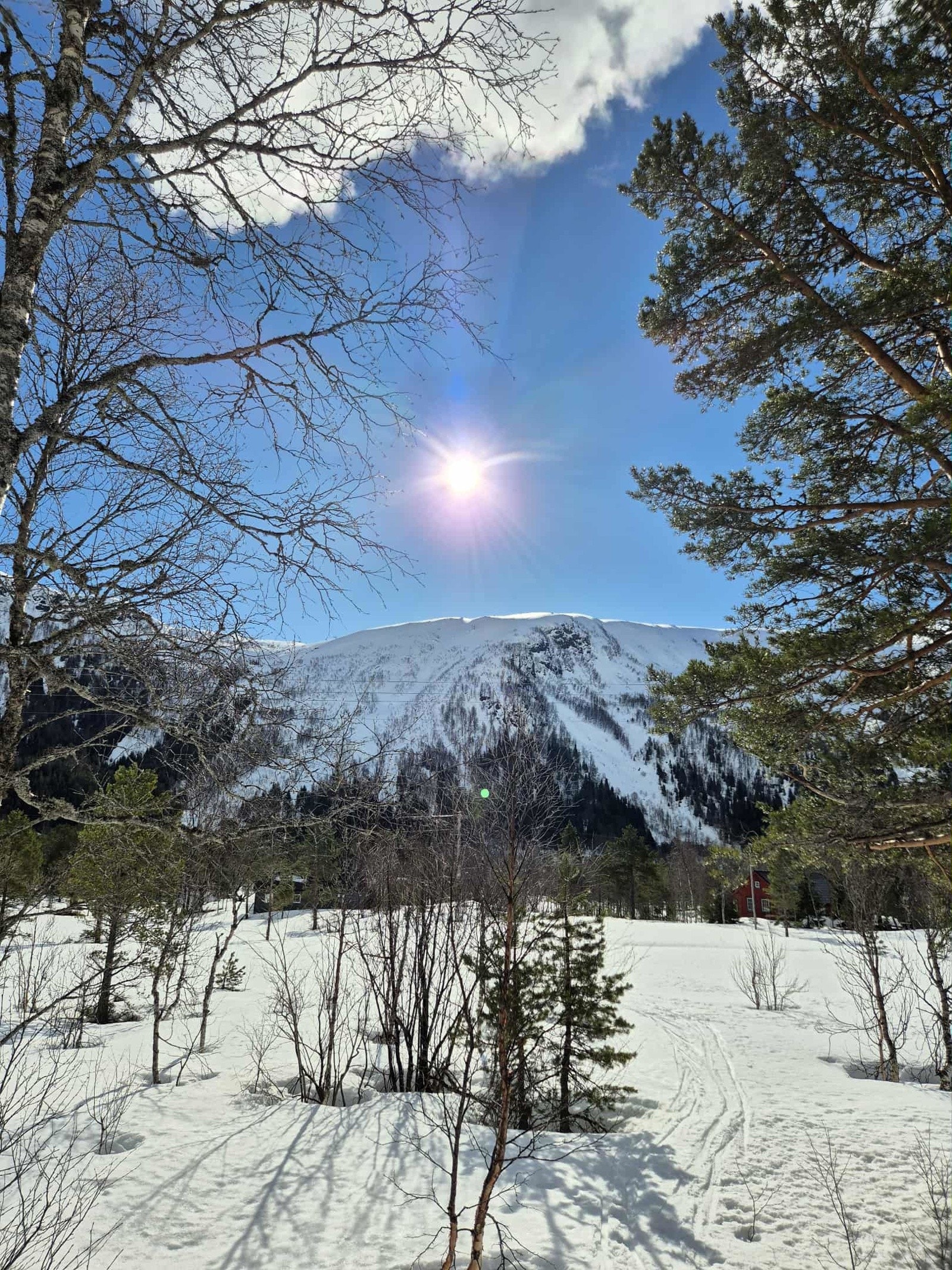 - Bilde tatt av selger - Galleribilde