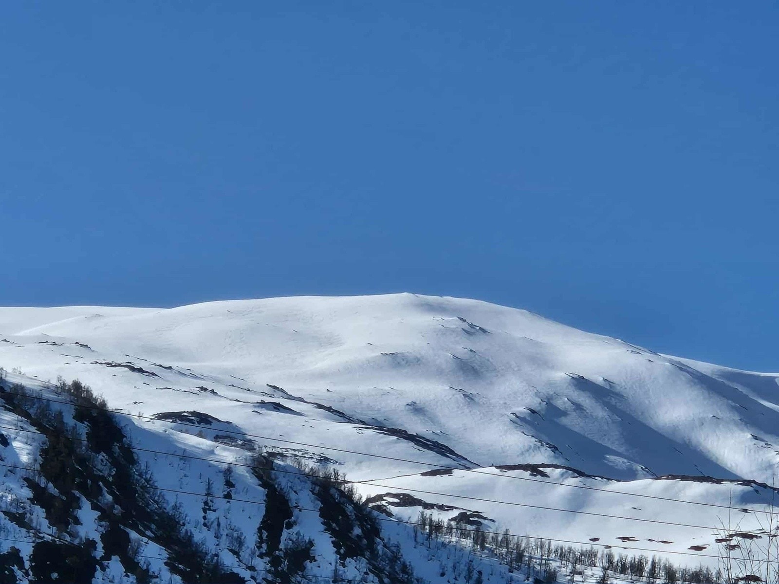 - Bilde tatt av selger - Galleribilde