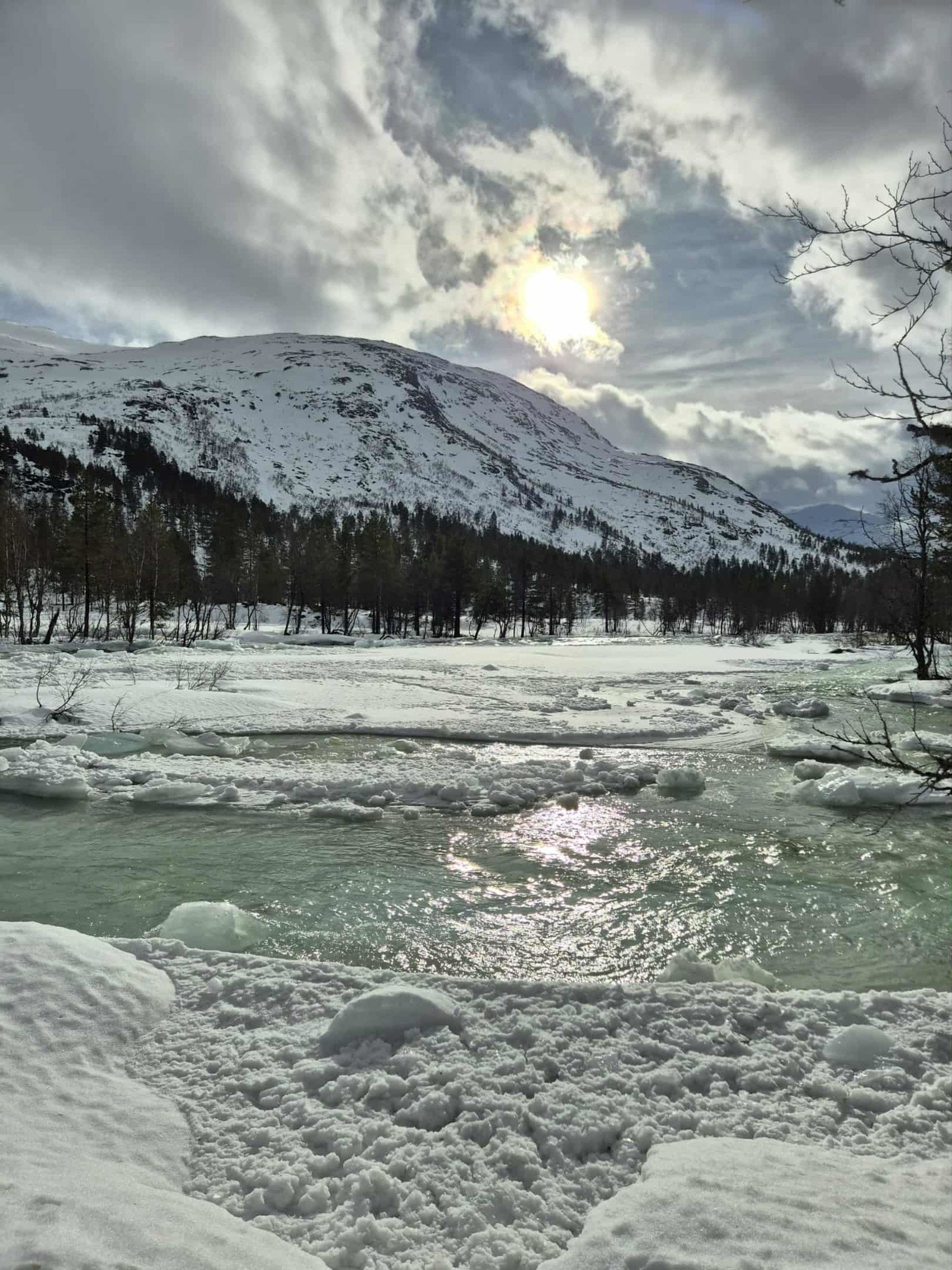 - Bilde tatt av selger - Galleribilde